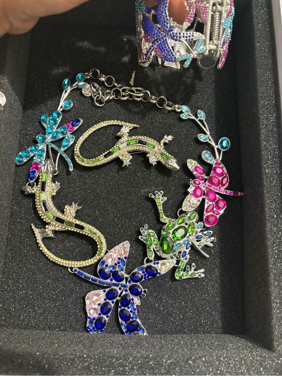 Sassy Jones Jewelry - Sassy Jones Multicolor Crystal Dragonfly, Lizard & Frog Statement Brooch Set